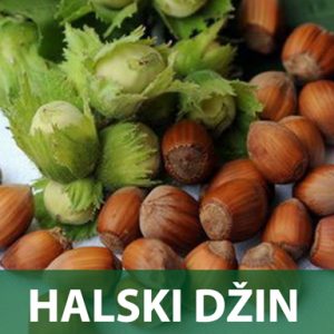 Halski džin sadnice prodaja