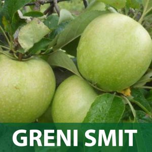 greni smit jabuka sadnice prodaja