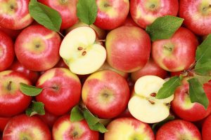 otporne sadnice jabuke prodaja najbolje sadnice u bih