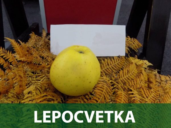 Jabuka Lepocvetka