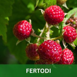 FERTODI